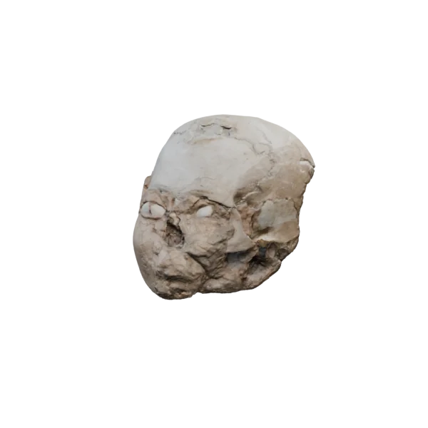 Jericho Skull, shown in a rotating 360-degree view